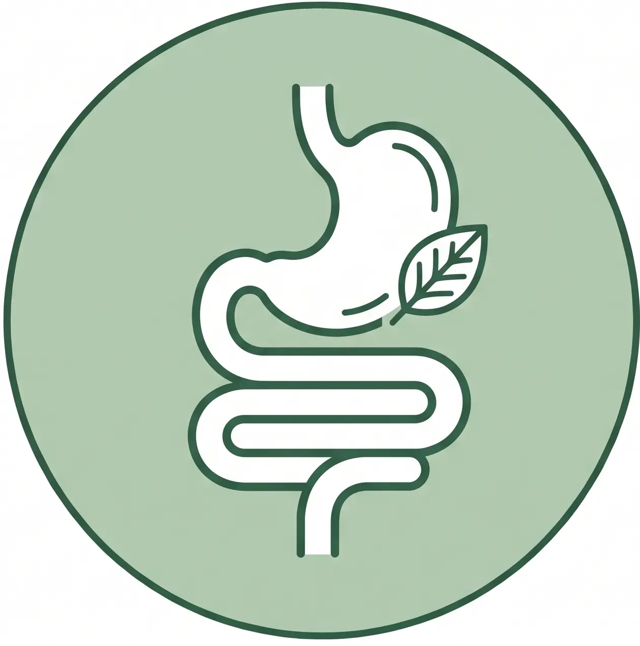 Digestion